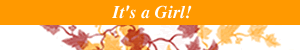 It's a Girl Baby Goft Banner